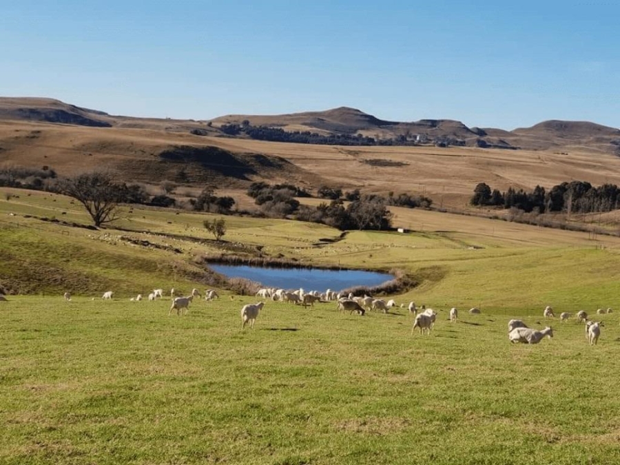 0 Bedroom Property for Sale in Nottingham Road KwaZulu-Natal