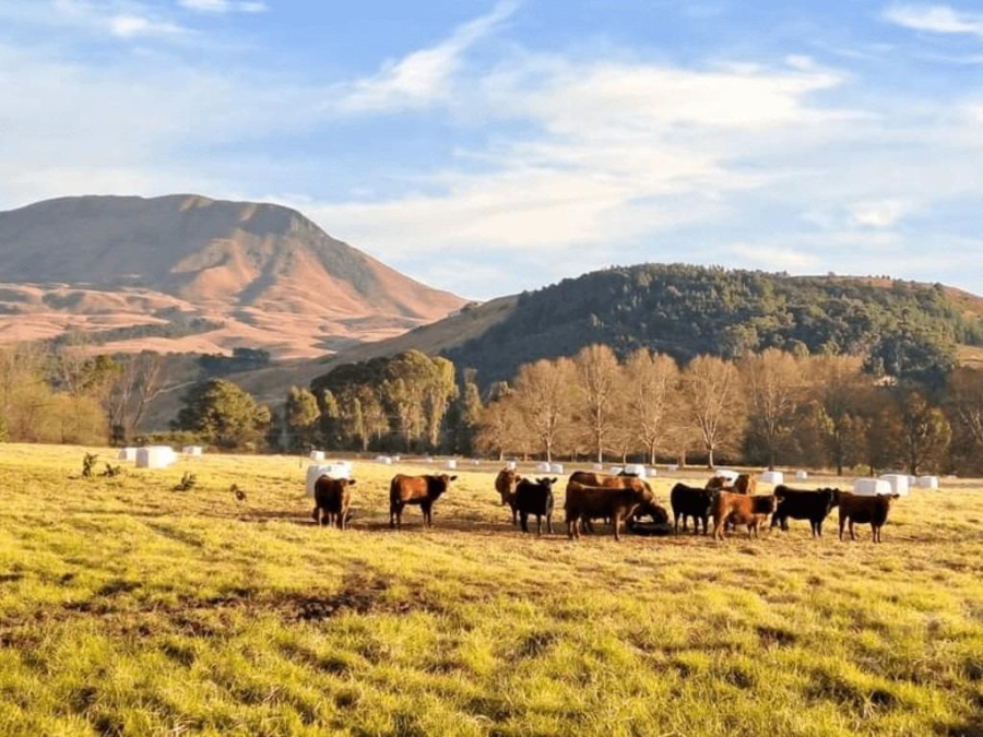 0 Bedroom Property for Sale in Nottingham Road KwaZulu-Natal