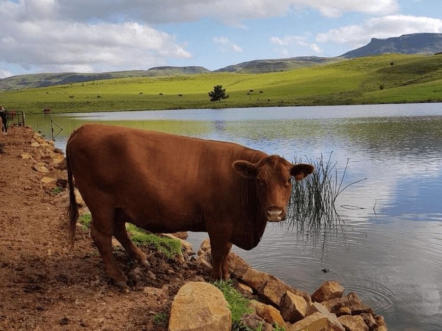 0 Bedroom Property for Sale in Nottingham Road KwaZulu-Natal