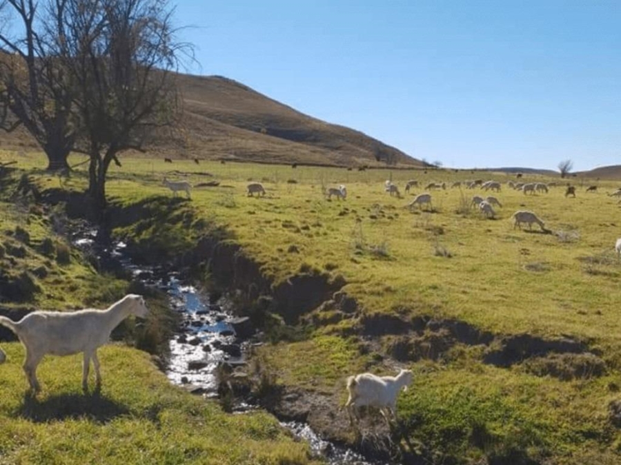 0 Bedroom Property for Sale in Nottingham Road KwaZulu-Natal