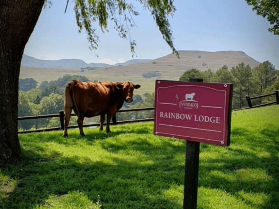 0 Bedroom Property for Sale in Nottingham Road KwaZulu-Natal