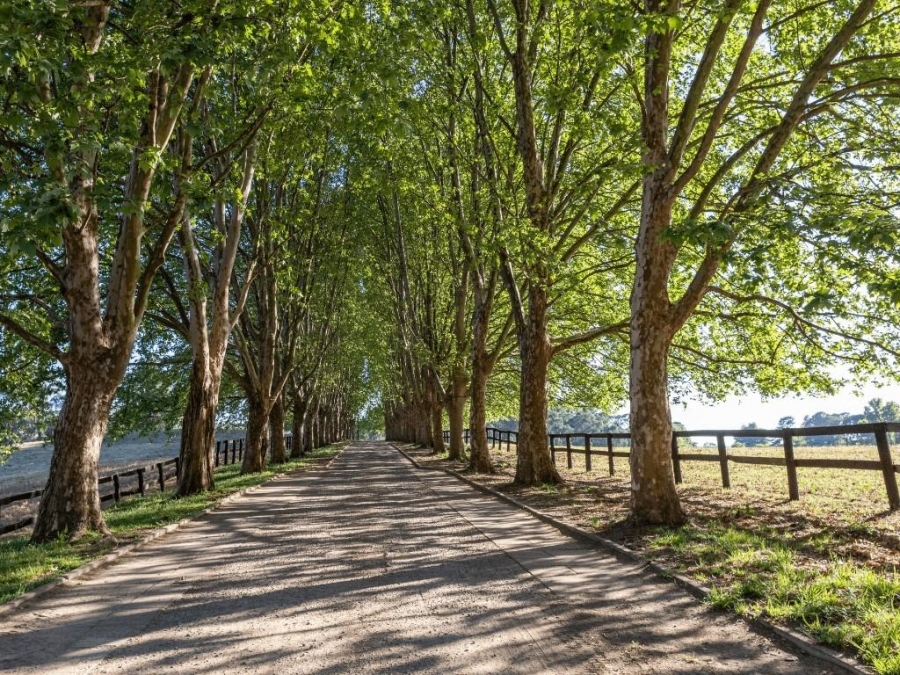 0 Bedroom Property for Sale in Nottingham Road KwaZulu-Natal