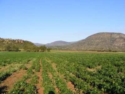 3 Bedroom Property for Sale in Muden KwaZulu-Natal