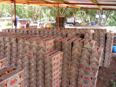 3 Bedroom Property for Sale in Muden KwaZulu-Natal