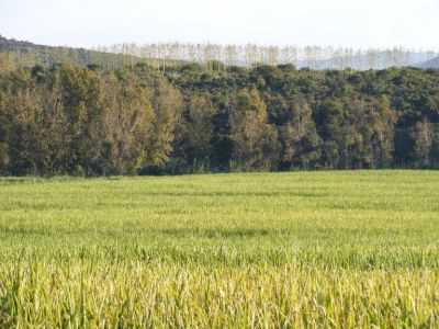 3 Bedroom Property for Sale in Muden KwaZulu-Natal