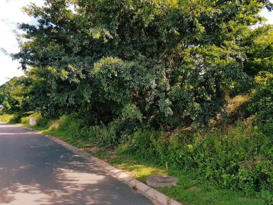 0 Bedroom Property for Sale in New Salt Rock City KwaZulu-Natal