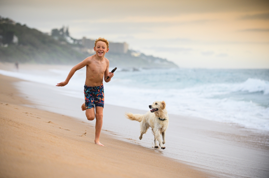 0 Bedroom Property for Sale in New Salt Rock City KwaZulu-Natal