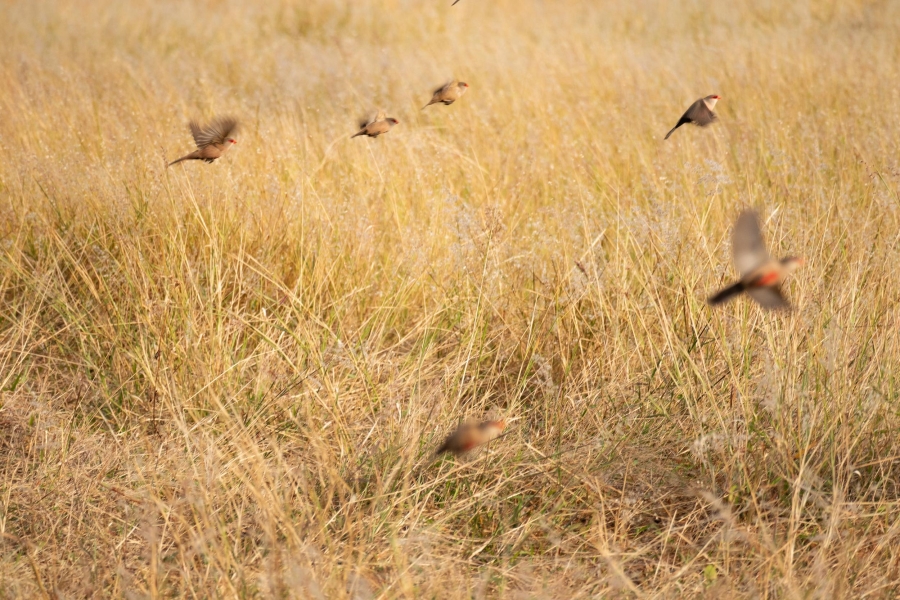 0 Bedroom Property for Sale in Zululami Coastal Estate KwaZulu-Natal