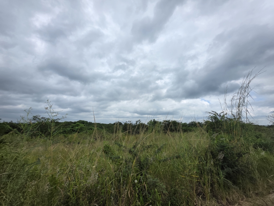 0 Bedroom Property for Sale in Heatonville KwaZulu-Natal