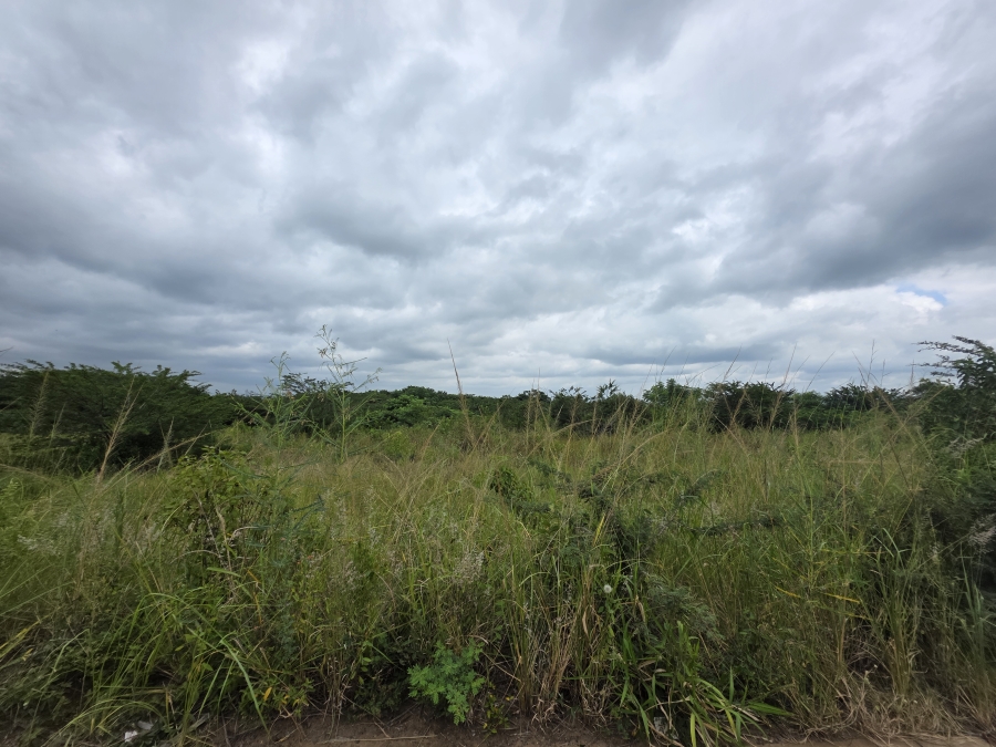 0 Bedroom Property for Sale in Heatonville KwaZulu-Natal