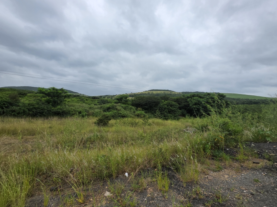 0 Bedroom Property for Sale in Heatonville KwaZulu-Natal