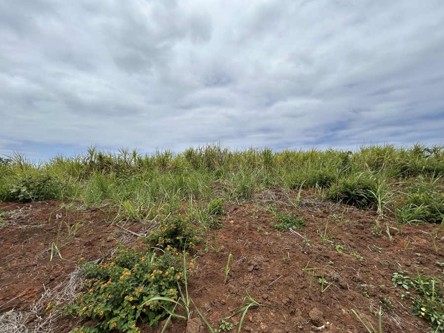 0 Bedroom Property for Sale in Seaton Estate KwaZulu-Natal