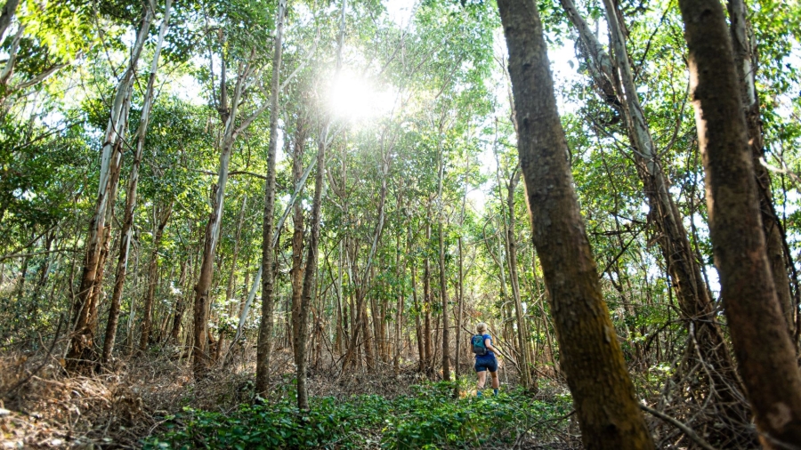 0 Bedroom Property for Sale in Seaton Estate KwaZulu-Natal