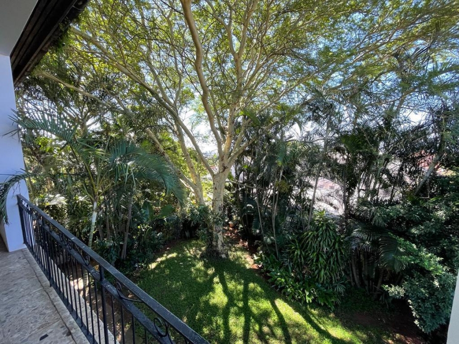 To Let 2 Bedroom Property for Rent in Glenwood KwaZulu-Natal