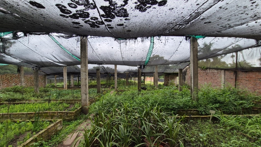 4 Bedroom Property for Sale in Ballito KwaZulu-Natal