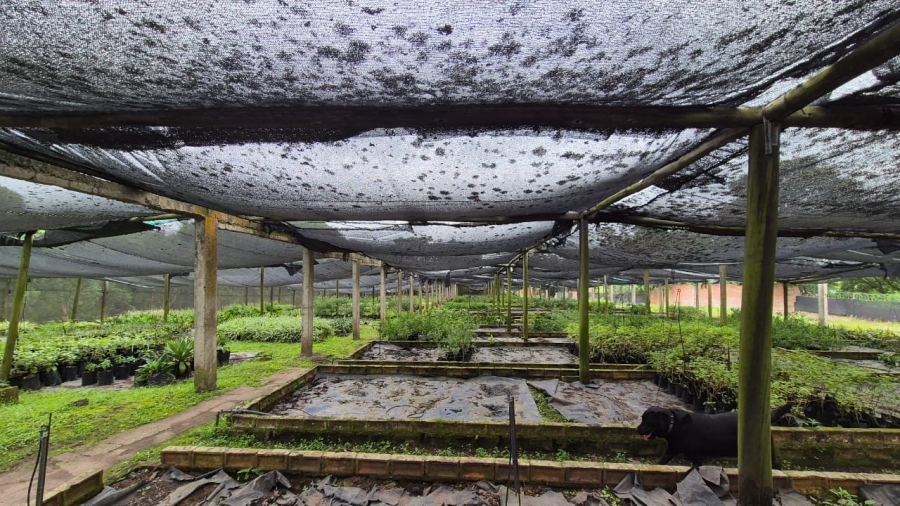 4 Bedroom Property for Sale in Ballito KwaZulu-Natal