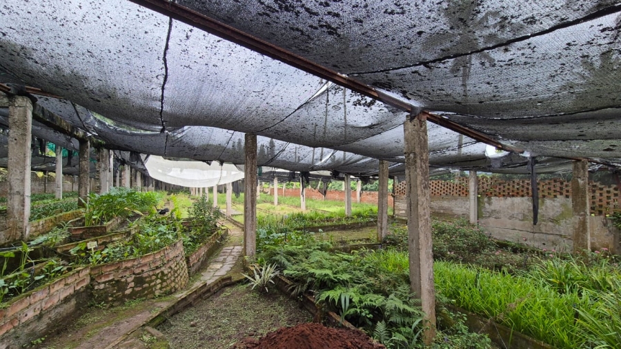 4 Bedroom Property for Sale in Ballito KwaZulu-Natal