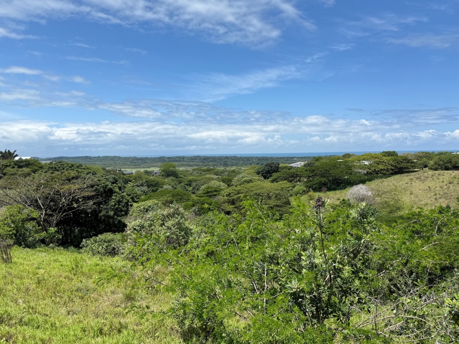 0 Bedroom Property for Sale in Zini River Estate KwaZulu-Natal