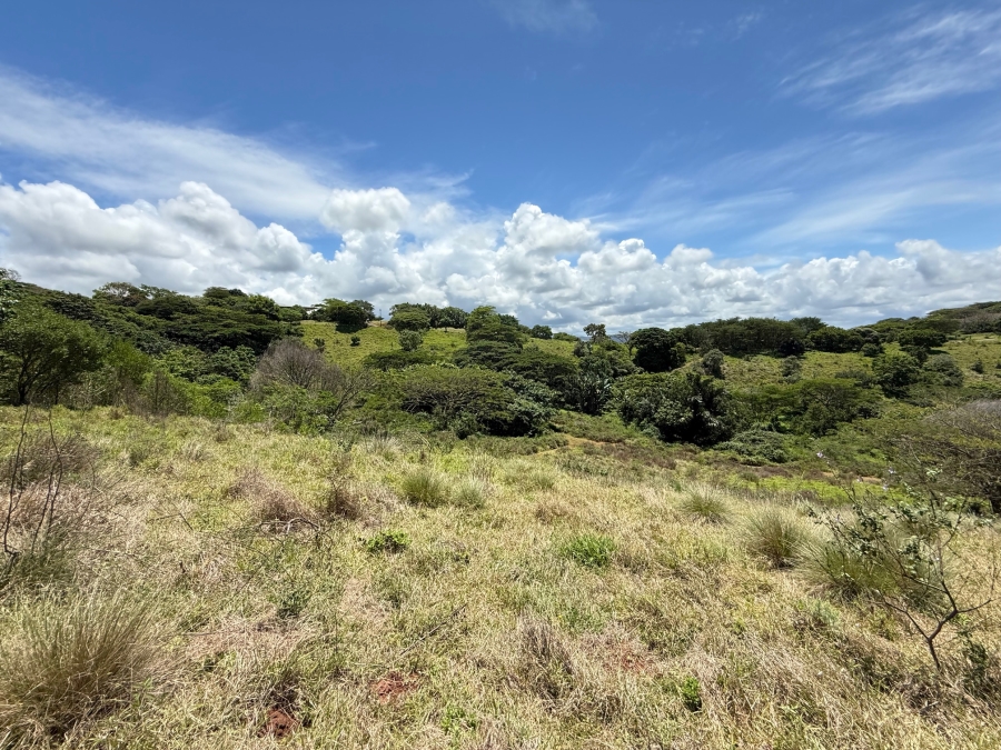 0 Bedroom Property for Sale in Zini River Estate KwaZulu-Natal