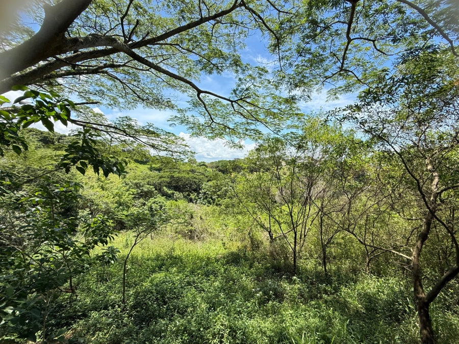 0 Bedroom Property for Sale in Zini River Estate KwaZulu-Natal