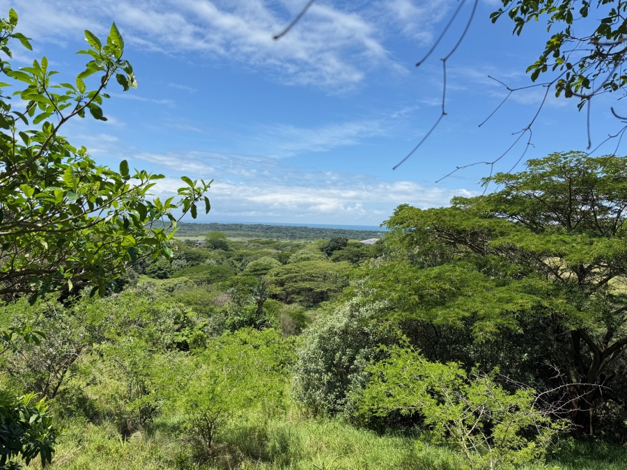 0 Bedroom Property for Sale in Zini River Estate KwaZulu-Natal