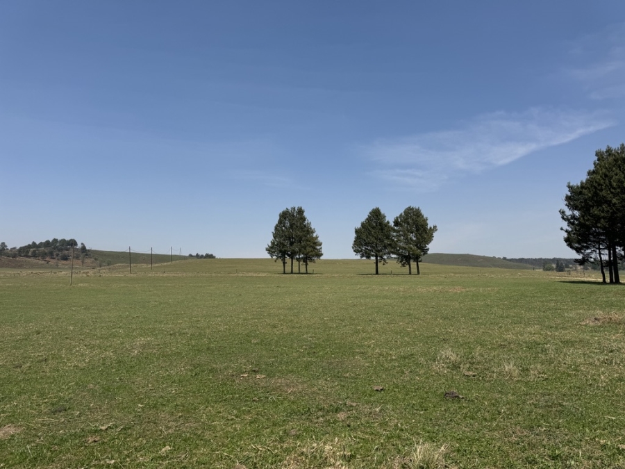 8 Bedroom Property for Sale in Dargle KwaZulu-Natal