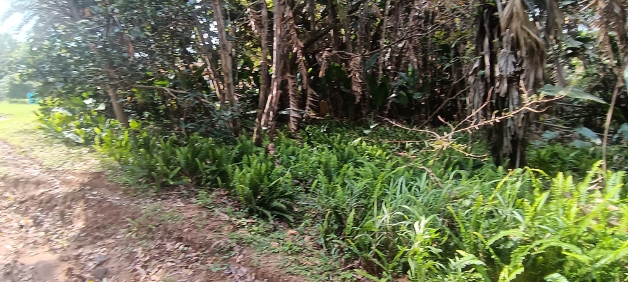 0 Bedroom Property for Sale in Leisure Bay KwaZulu-Natal