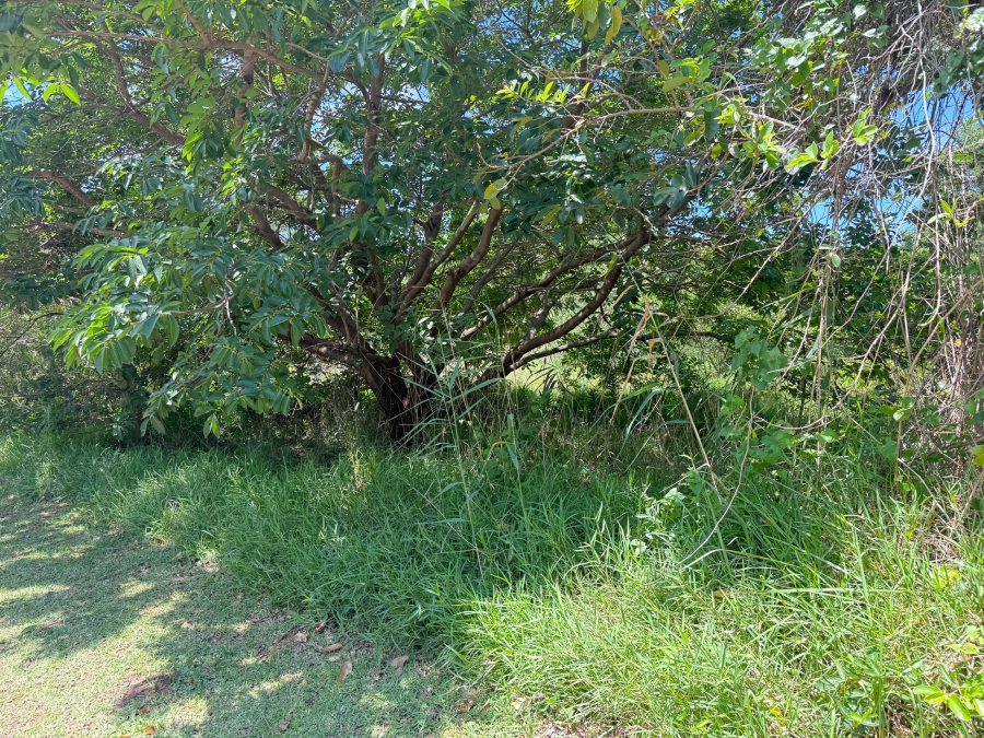 0 Bedroom Property for Sale in Zini River Estate KwaZulu-Natal