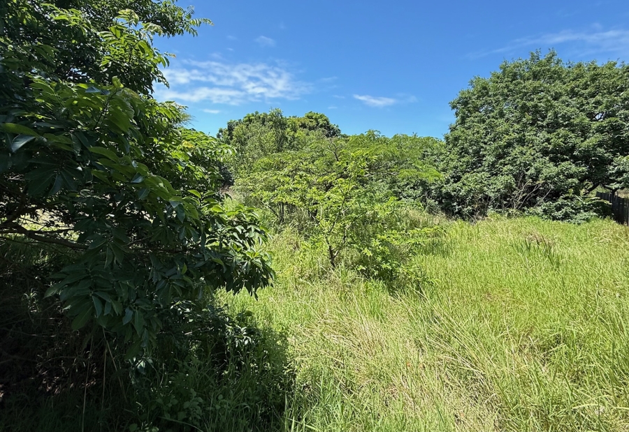 0 Bedroom Property for Sale in Zini River Estate KwaZulu-Natal