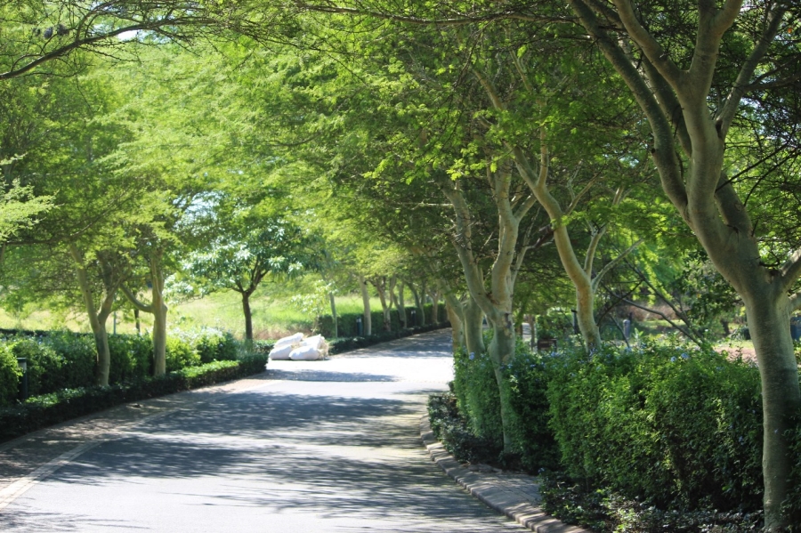 0 Bedroom Property for Sale in Zinkwazi Beach KwaZulu-Natal