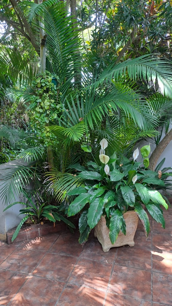 3 Bedroom Property for Sale in Zinkwazi Beach KwaZulu-Natal
