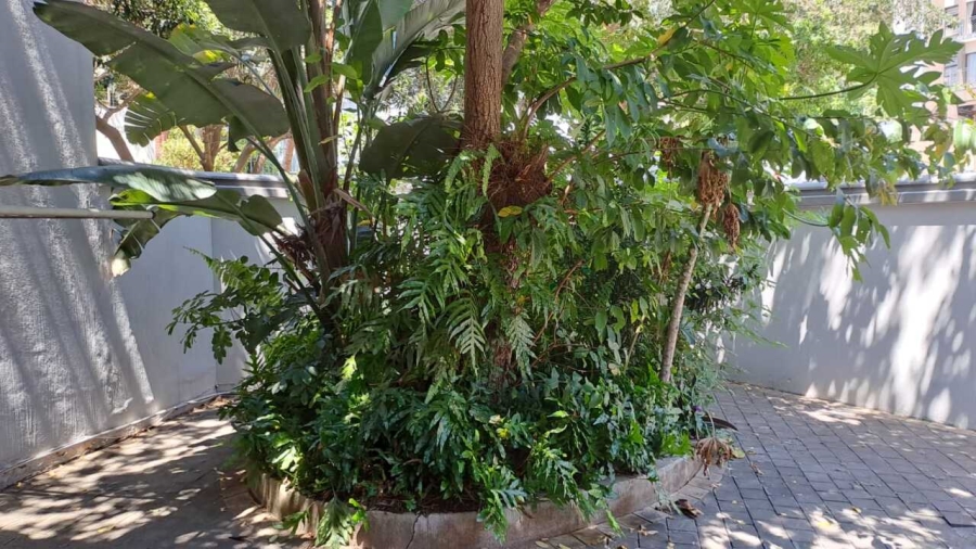3 Bedroom Property for Sale in Zinkwazi Beach KwaZulu-Natal