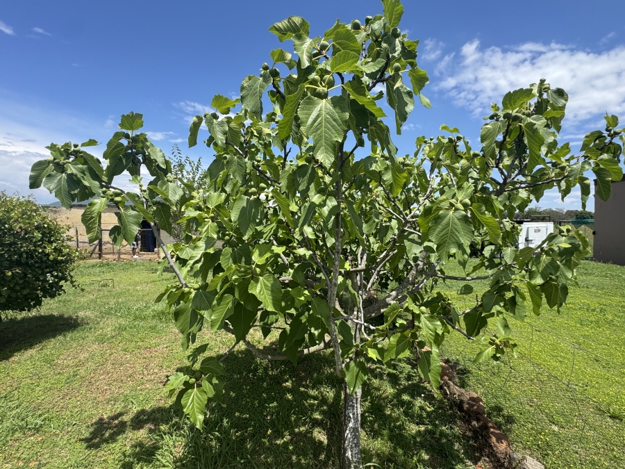 4 Bedroom Property for Sale in Weenen KwaZulu-Natal