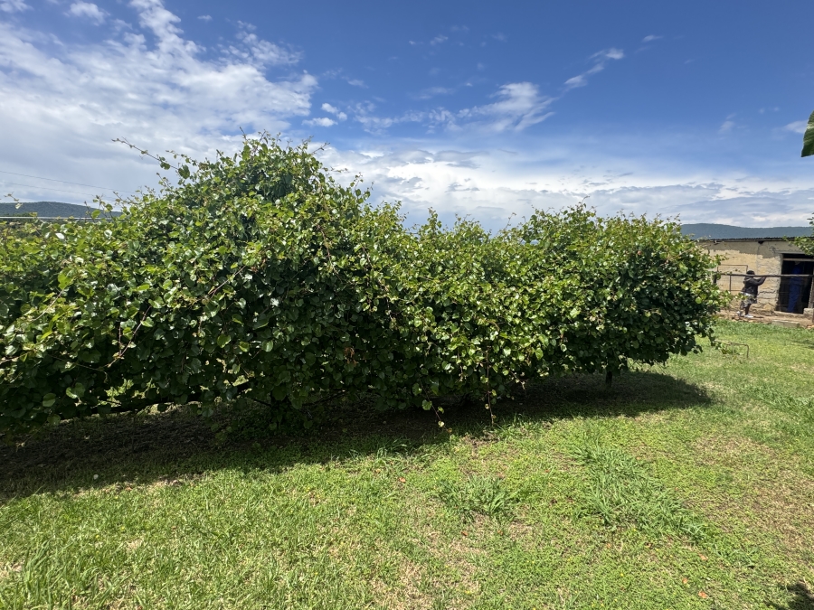 4 Bedroom Property for Sale in Weenen KwaZulu-Natal