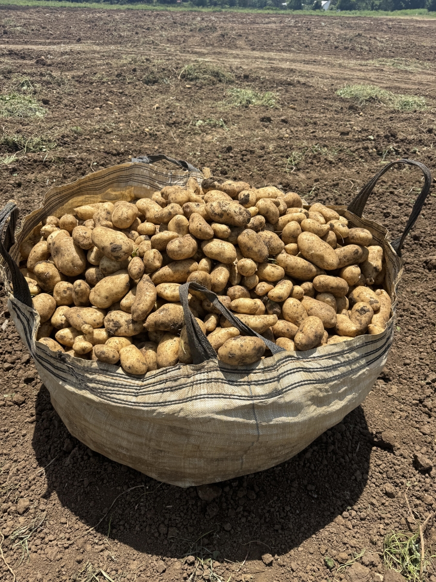 4 Bedroom Property for Sale in Weenen KwaZulu-Natal