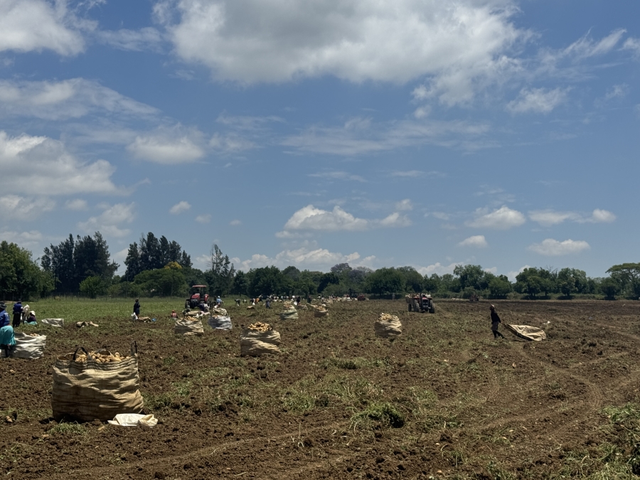 4 Bedroom Property for Sale in Weenen KwaZulu-Natal