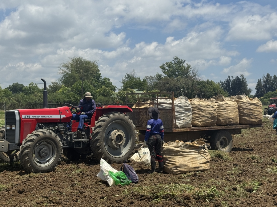 4 Bedroom Property for Sale in Weenen KwaZulu-Natal