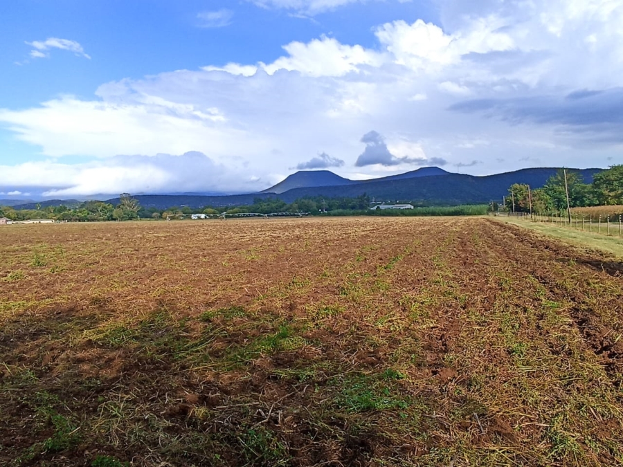 4 Bedroom Property for Sale in Weenen KwaZulu-Natal