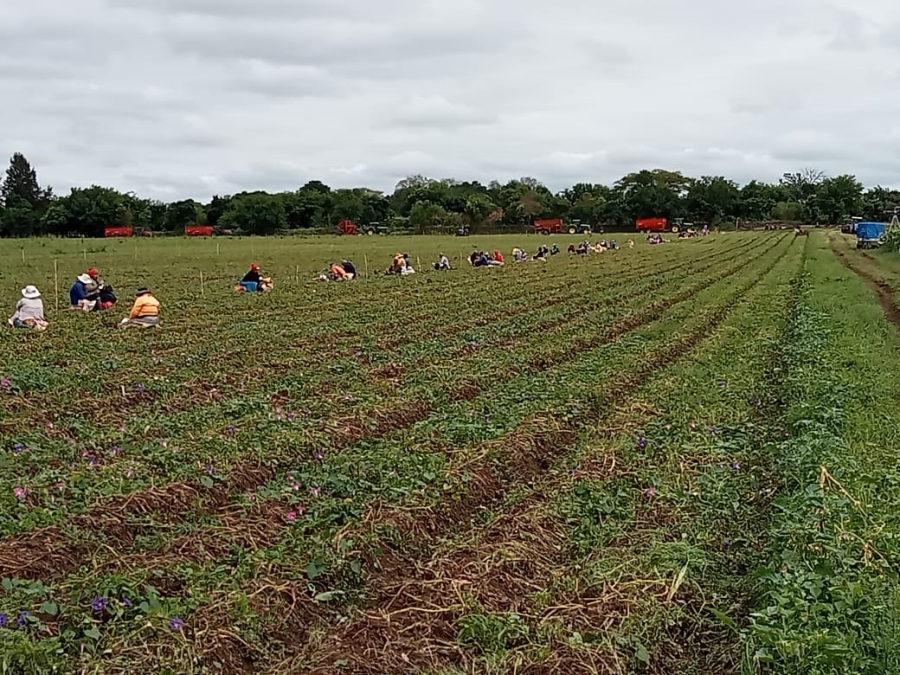 4 Bedroom Property for Sale in Weenen KwaZulu-Natal