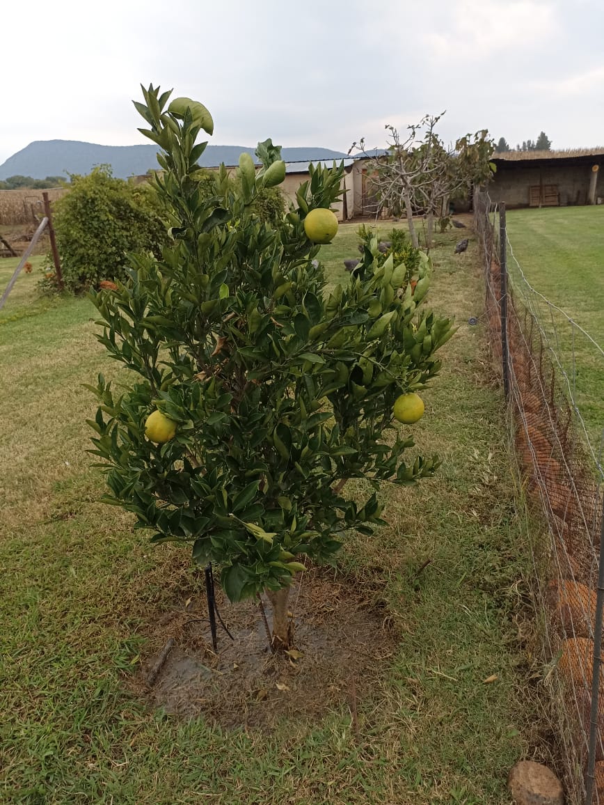 4 Bedroom Property for Sale in Weenen KwaZulu-Natal