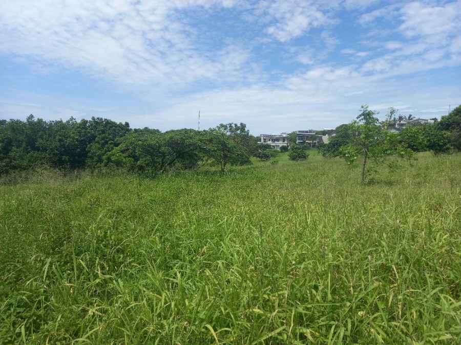0 Bedroom Property for Sale in Zinkwazi Beach KwaZulu-Natal