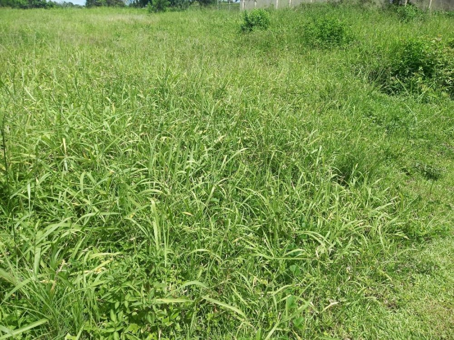 0 Bedroom Property for Sale in Zinkwazi Beach KwaZulu-Natal