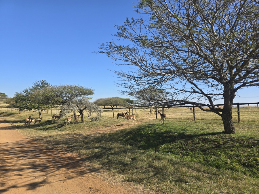 3 Bedroom Property for Sale in Manderston KwaZulu-Natal