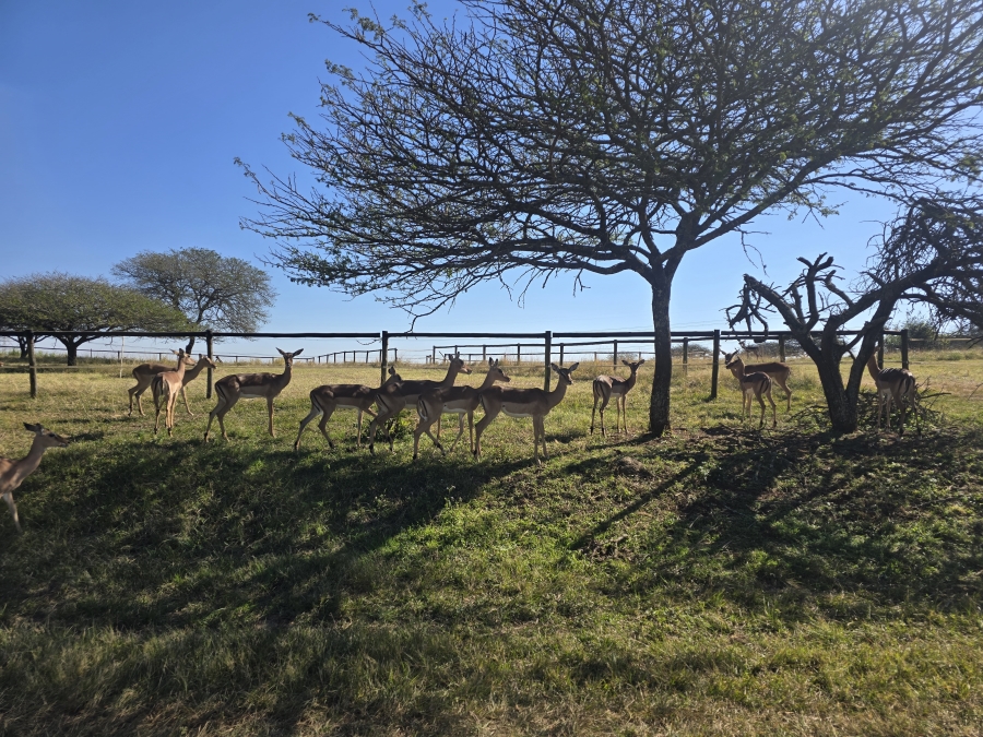 3 Bedroom Property for Sale in Manderston KwaZulu-Natal