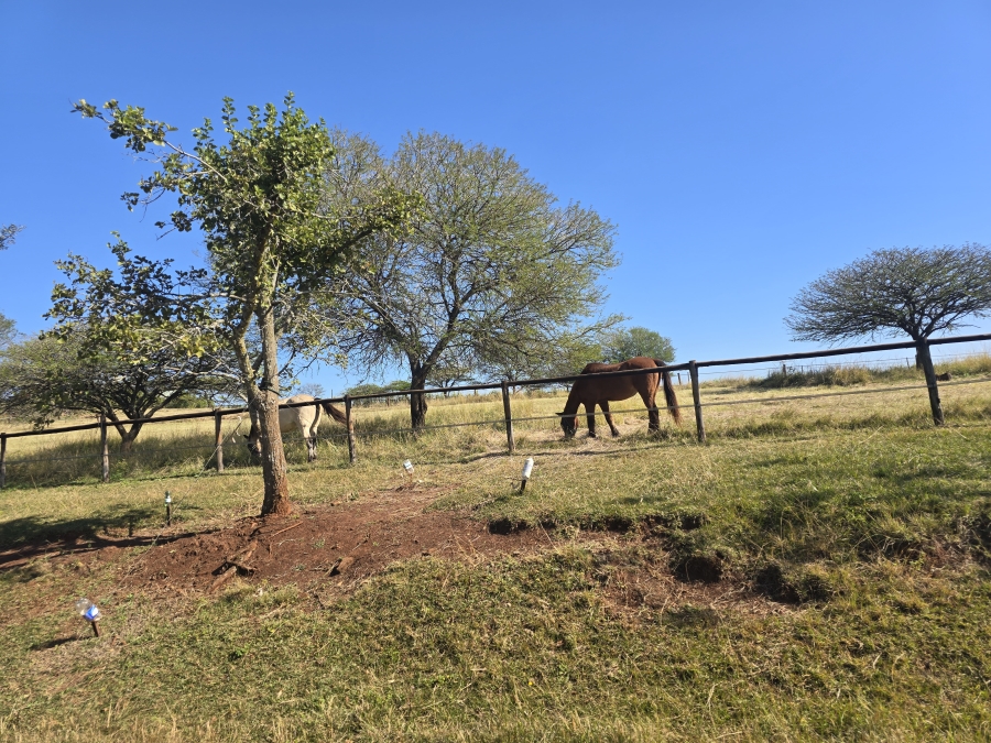 3 Bedroom Property for Sale in Manderston KwaZulu-Natal