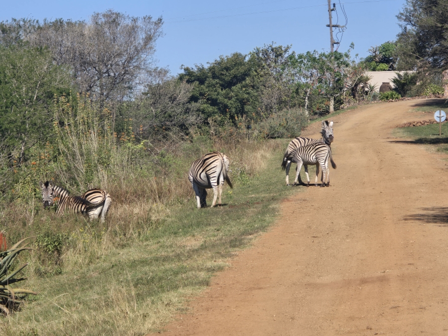 3 Bedroom Property for Sale in Manderston KwaZulu-Natal