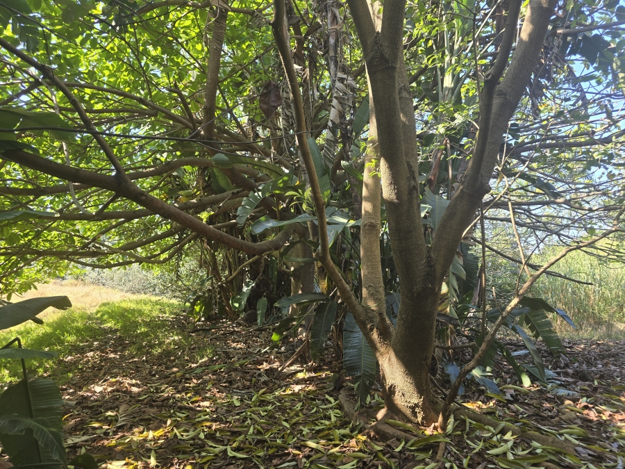 0 Bedroom Property for Sale in Simbithi Eco Estate KwaZulu-Natal