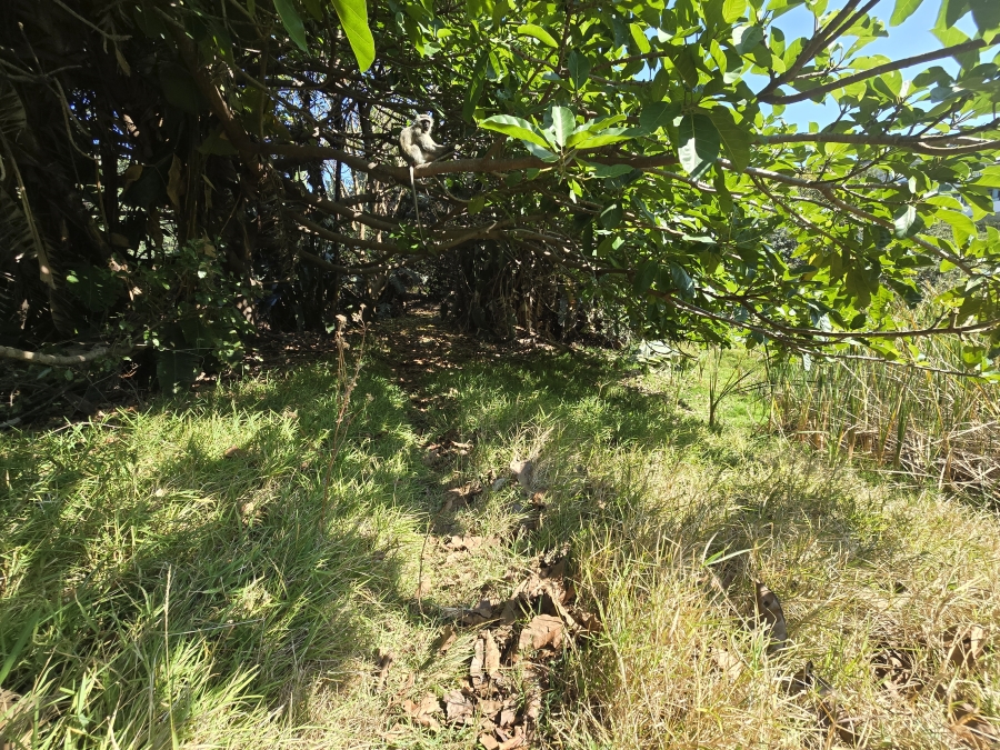 0 Bedroom Property for Sale in Simbithi Eco Estate KwaZulu-Natal