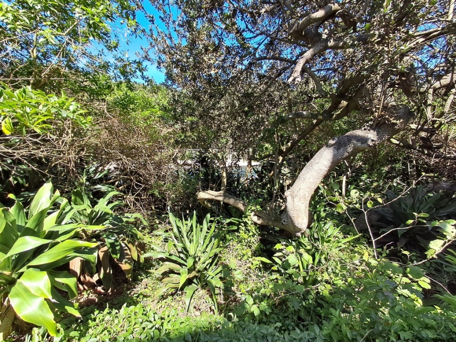 6 Bedroom Property for Sale in Blythedale KwaZulu-Natal