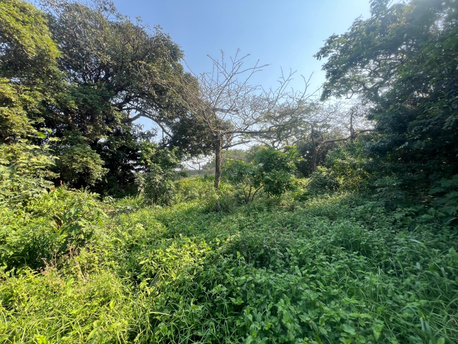0 Bedroom Property for Sale in Elaleni Coastal Forest Estate KwaZulu-Natal